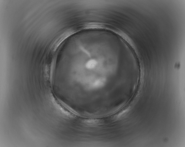 X0000113220953200909241445