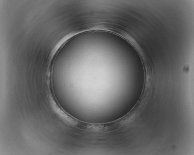 X0000113220955200909241445