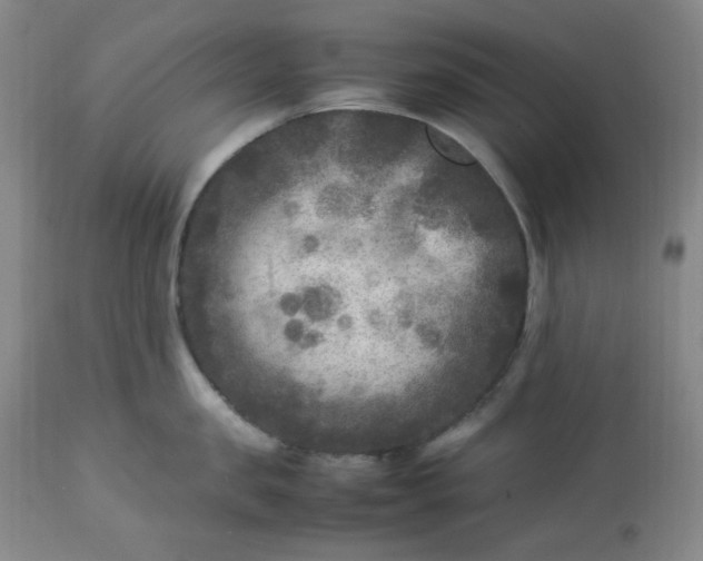 X0000113220957200909241445