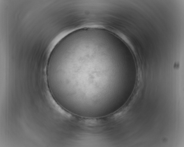 X0000113220959200909241445