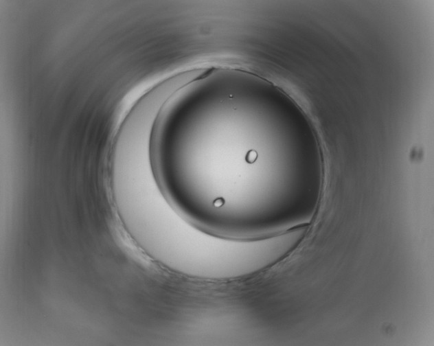 X0000113220960200909241445