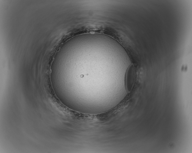 X0000113220961200909241444