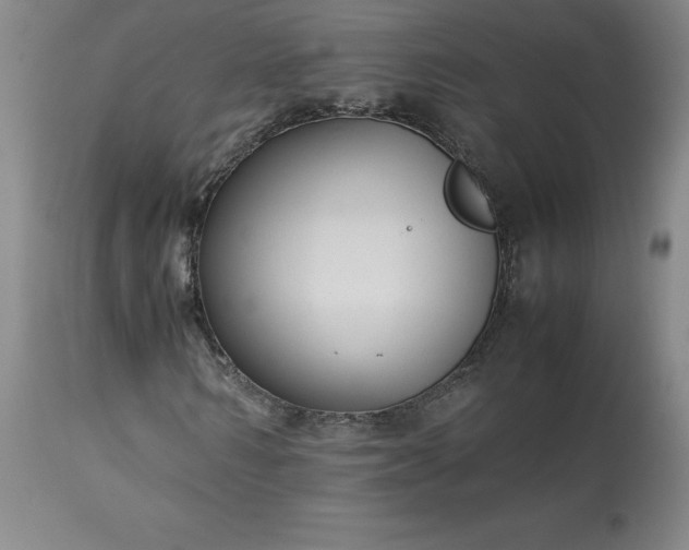 X0000113220962200909241444