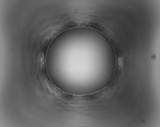 X0000113220963200909241444