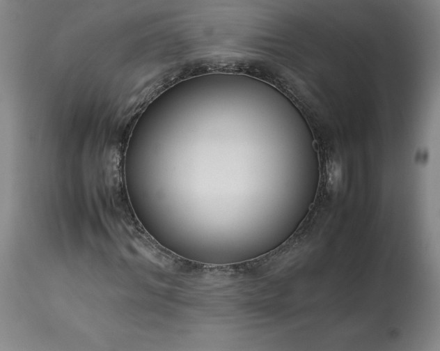 X0000113220964200909241444