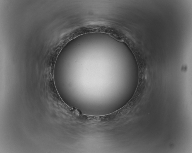 X0000113220965200909241444