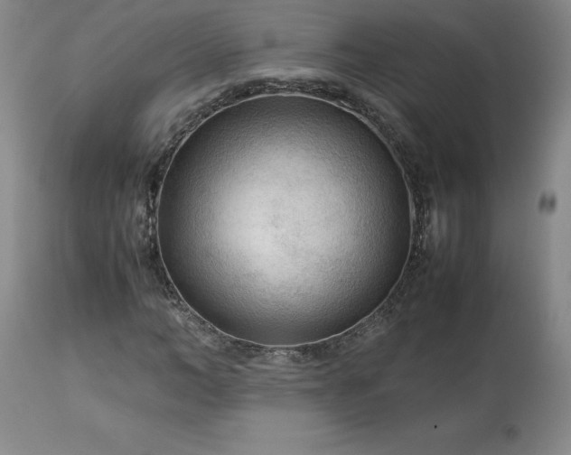 X0000113220966200909241444