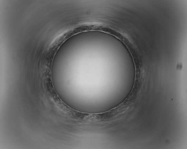 X0000113220967200909241444