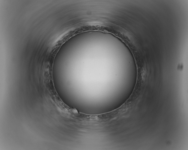 X0000113220968200909241444