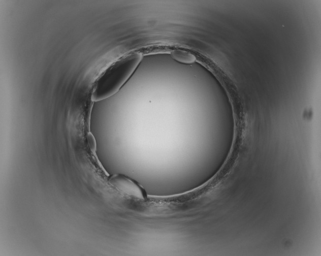 X0000113220969200909241444