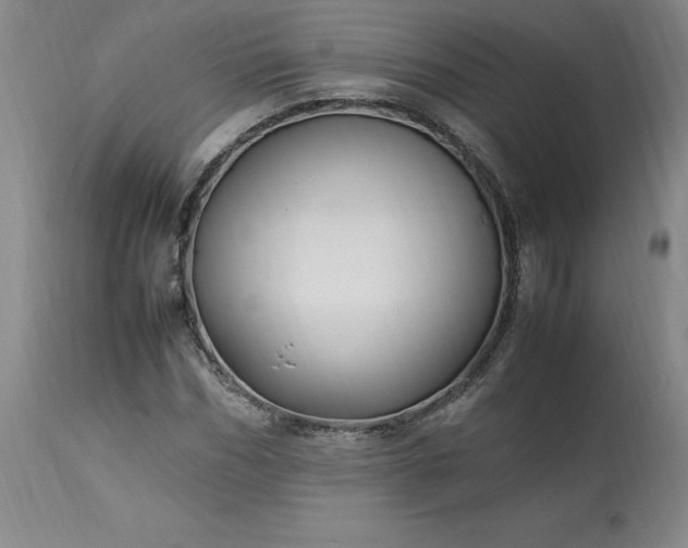 X0000113220970200909241444