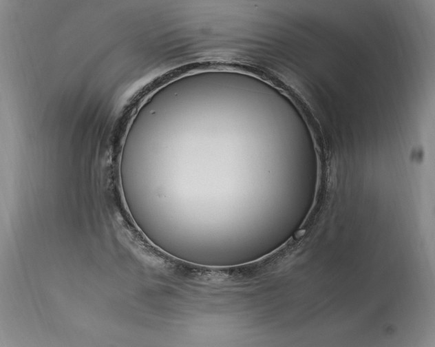 X0000113220971200909241444