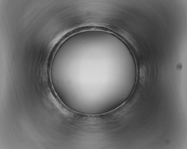 X0000113220972200909241444