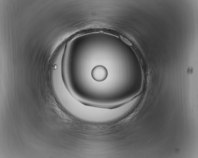 X0000113220973200909241444