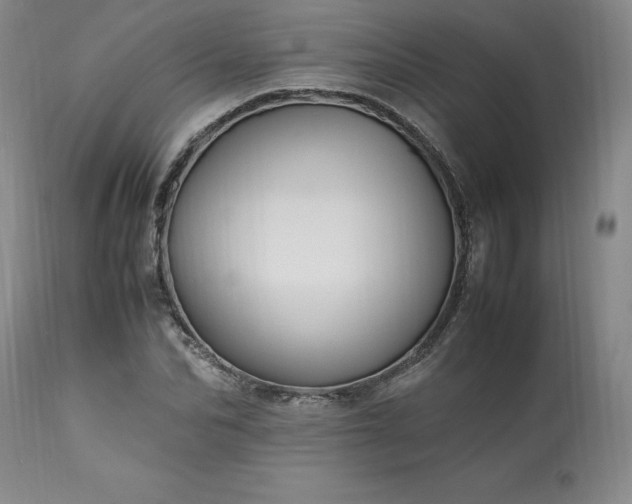 X0000113220974200909241444