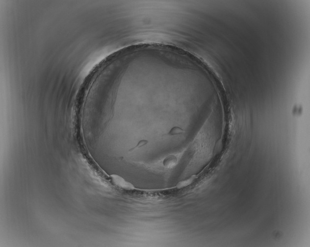 X0000113220975200909241444