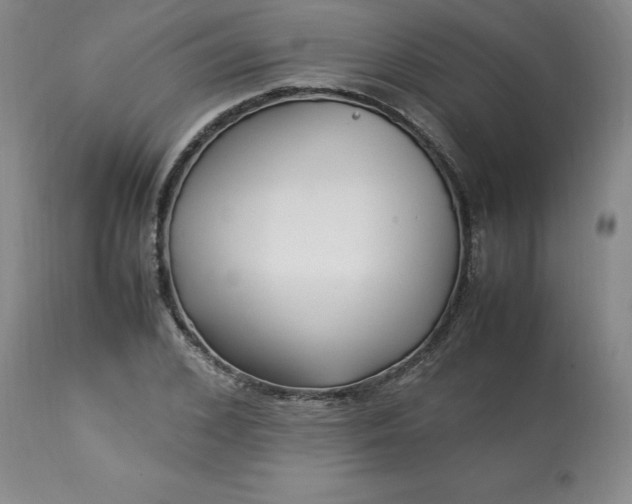 X0000113220976200909241444