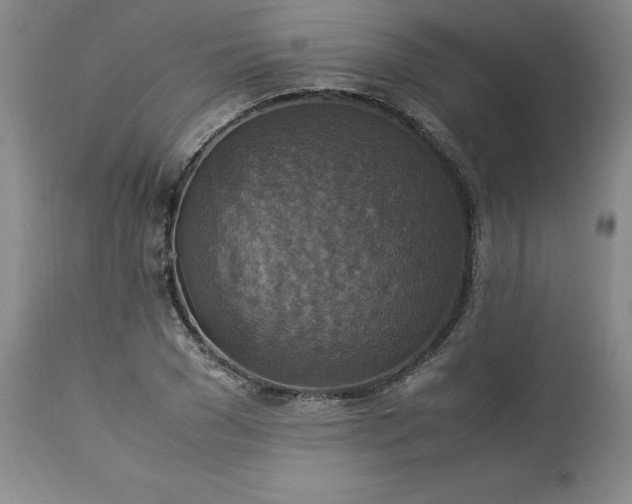 X0000113220977200909241444