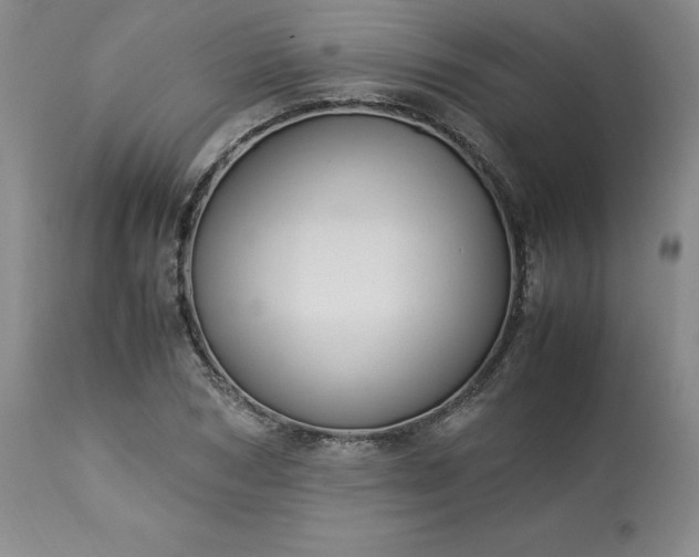 X0000113220978200909241444