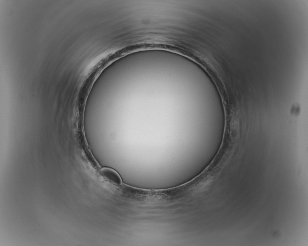 X0000113220979200909241444