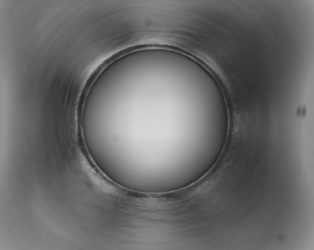 X0000113220980200909241444