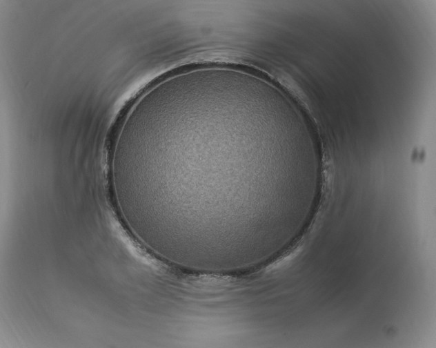 X0000113220981200909241444