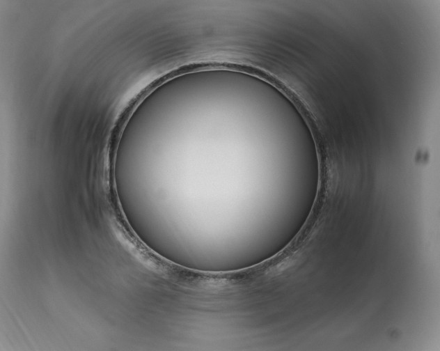 X0000113220982200909241444