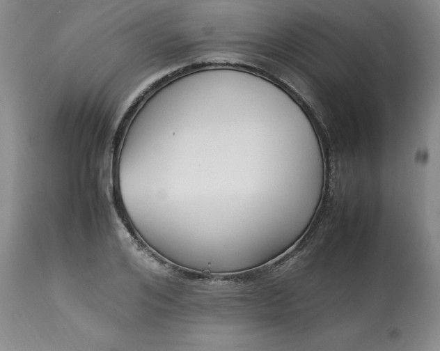 X0000113220984200909241444