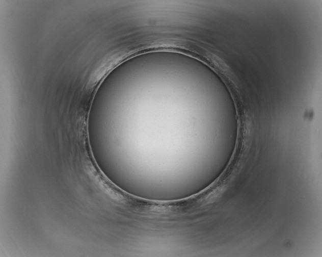 X0000113220985200909241444