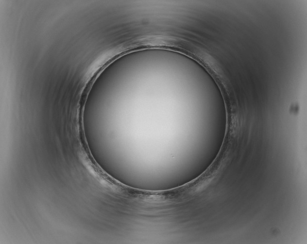 X0000113220986200909241444