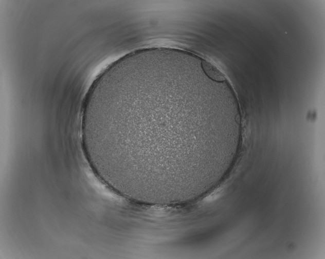 X0000113220987200909241444