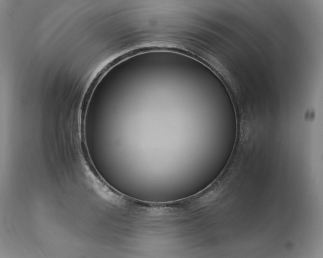 X0000113220988200909241444