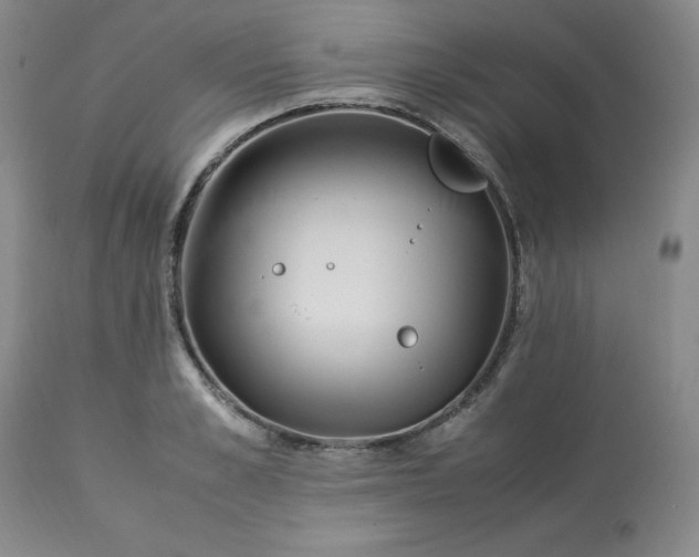 X0000113220989200909241444