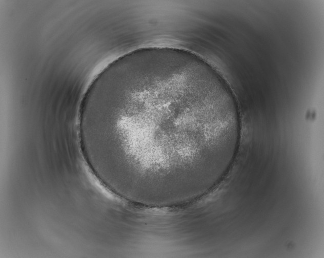 X0000113220990200909241444