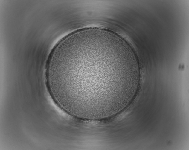 X0000113220991200909241444