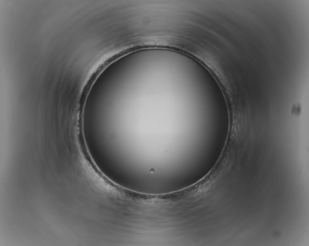 X0000113220992200909241444