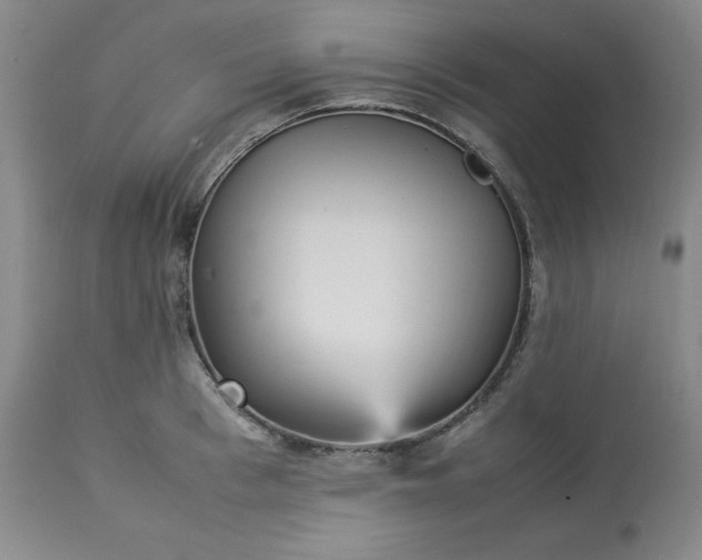 X0000113220993200909241444