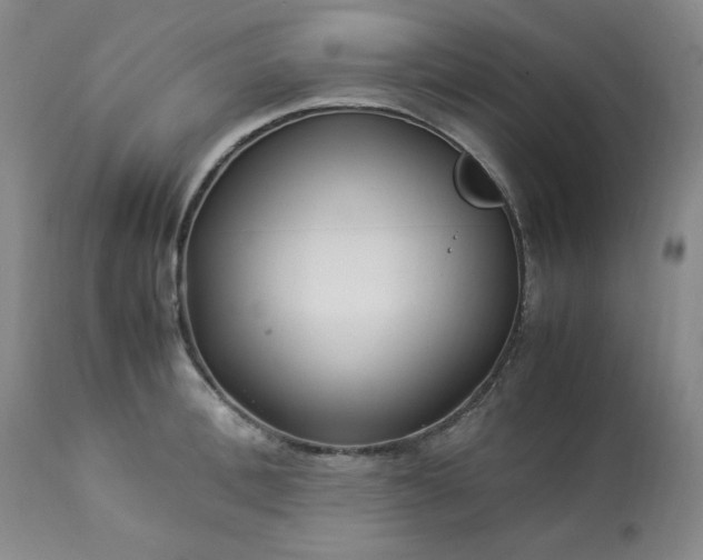 X0000113220996200909241444