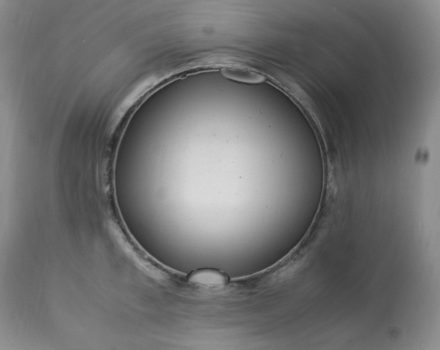 X0000113220997200909241444