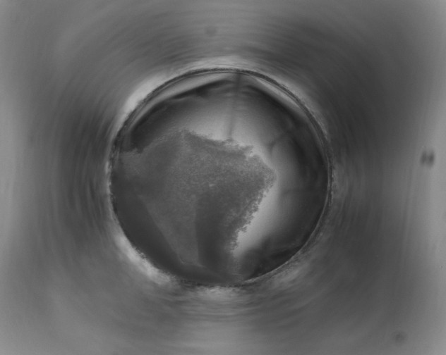 X0000113220998200909241444