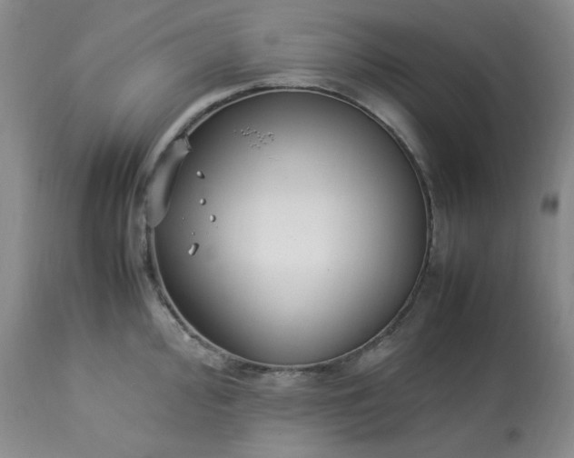 X0000113221000200909241444