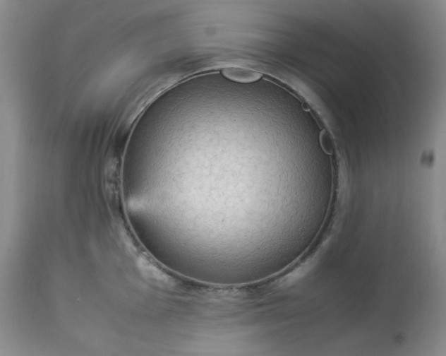 X0000113221001200909241444