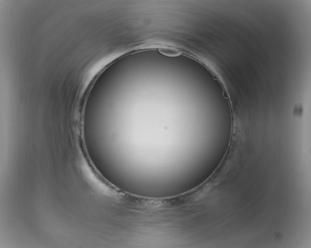 X0000113221003200909241444