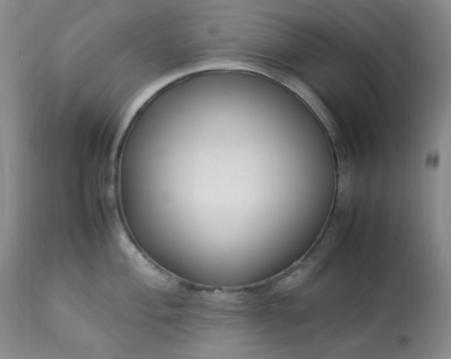 X0000113221004200909241444