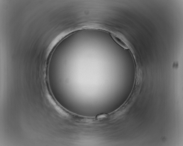 X0000113221005200909241444