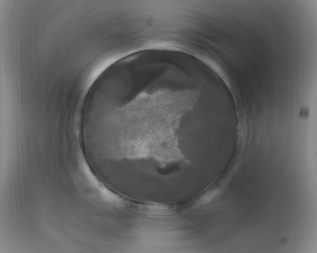 X0000113221007200909241443