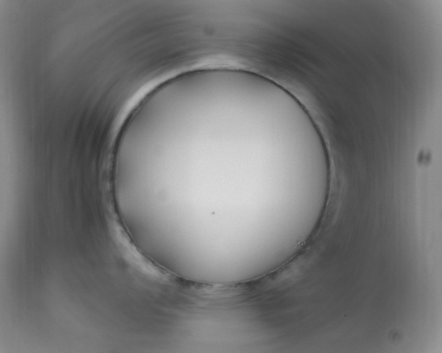 X0000113221008200909241443