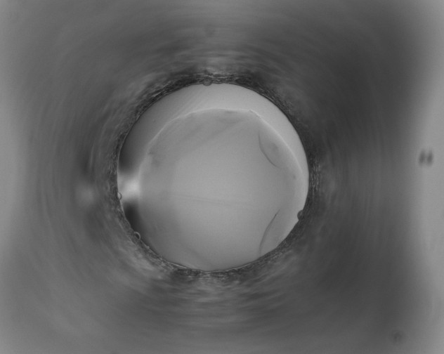 X0000113221009200909241443