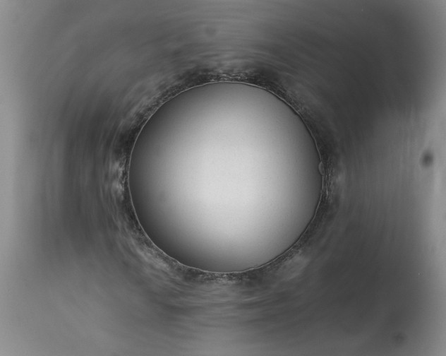 X0000113221010200909241443