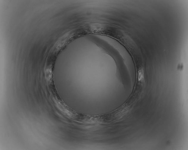 X0000113221011200909241443